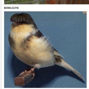 Meet your Posher, April